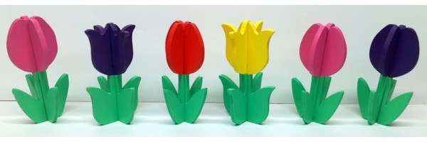 HOUTEN TULPEN HOUTEN TULPEN