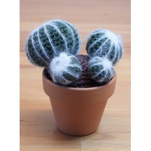 CACTUS-03