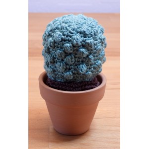 CACTUS-04