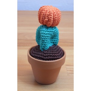 CACTUS-07