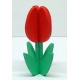 HOUTEN TULP