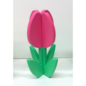 HOUTEN TULP