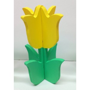HOUTEN TULP 2
