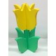 HOUTEN TULP 2