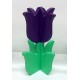 HOUTEN TULP 2